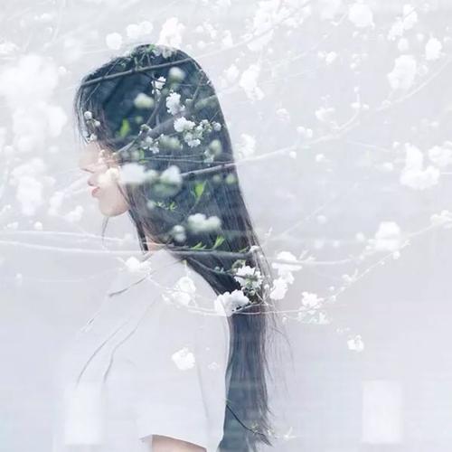 村山靖 - 独播剧场VIP在线观看 - 网络观影